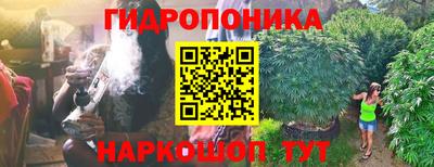 дурь Северобайкальск