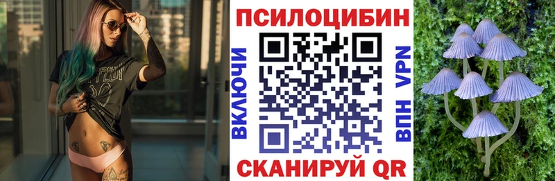 Галлюциногенные грибы Psilocybine cubensis  blacksprut как войти  Черемхово  даркнет сайт 